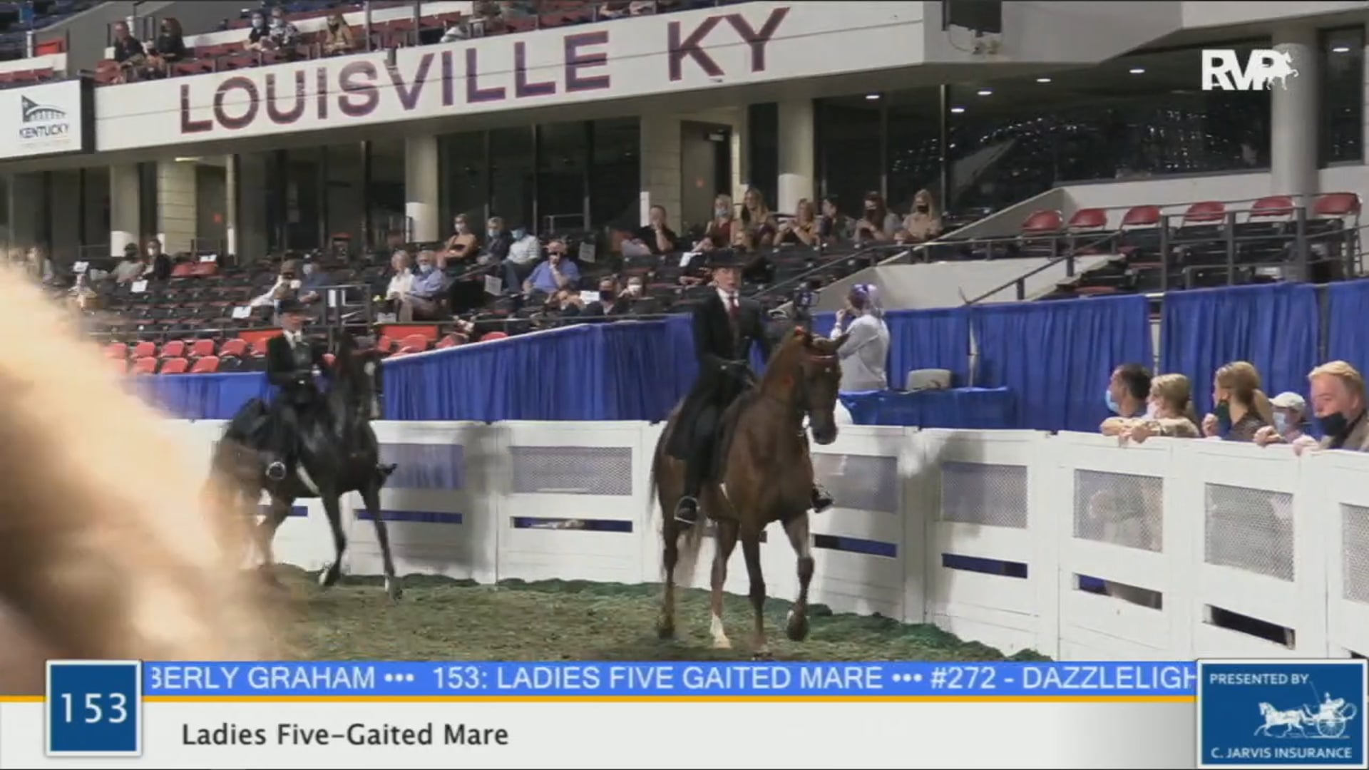 WCHS 2020 Class 153 - Ladies Five-Gaited Mare