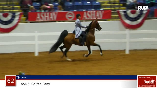 ASHAV 2020 - Class 62 ASB Five Gaited...