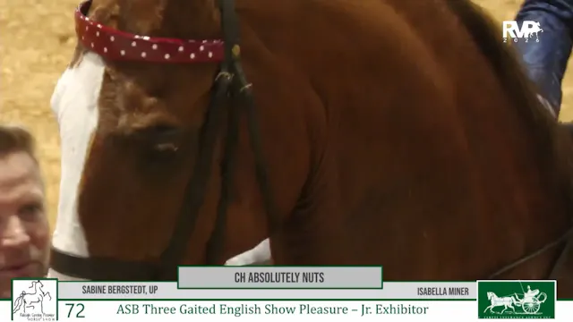 RSP26 - Class 72 - CH Absolutely Nuts...