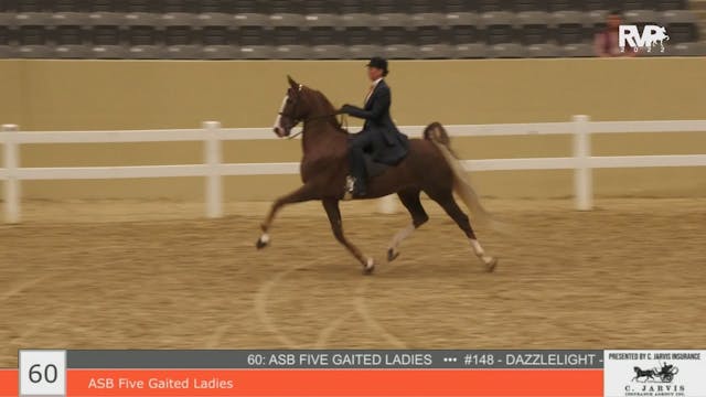 KYFC22 - Class 60 - ASB Five Gaited L...