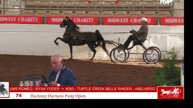 MW24 - Class 74 - Hackney Harness Pon...