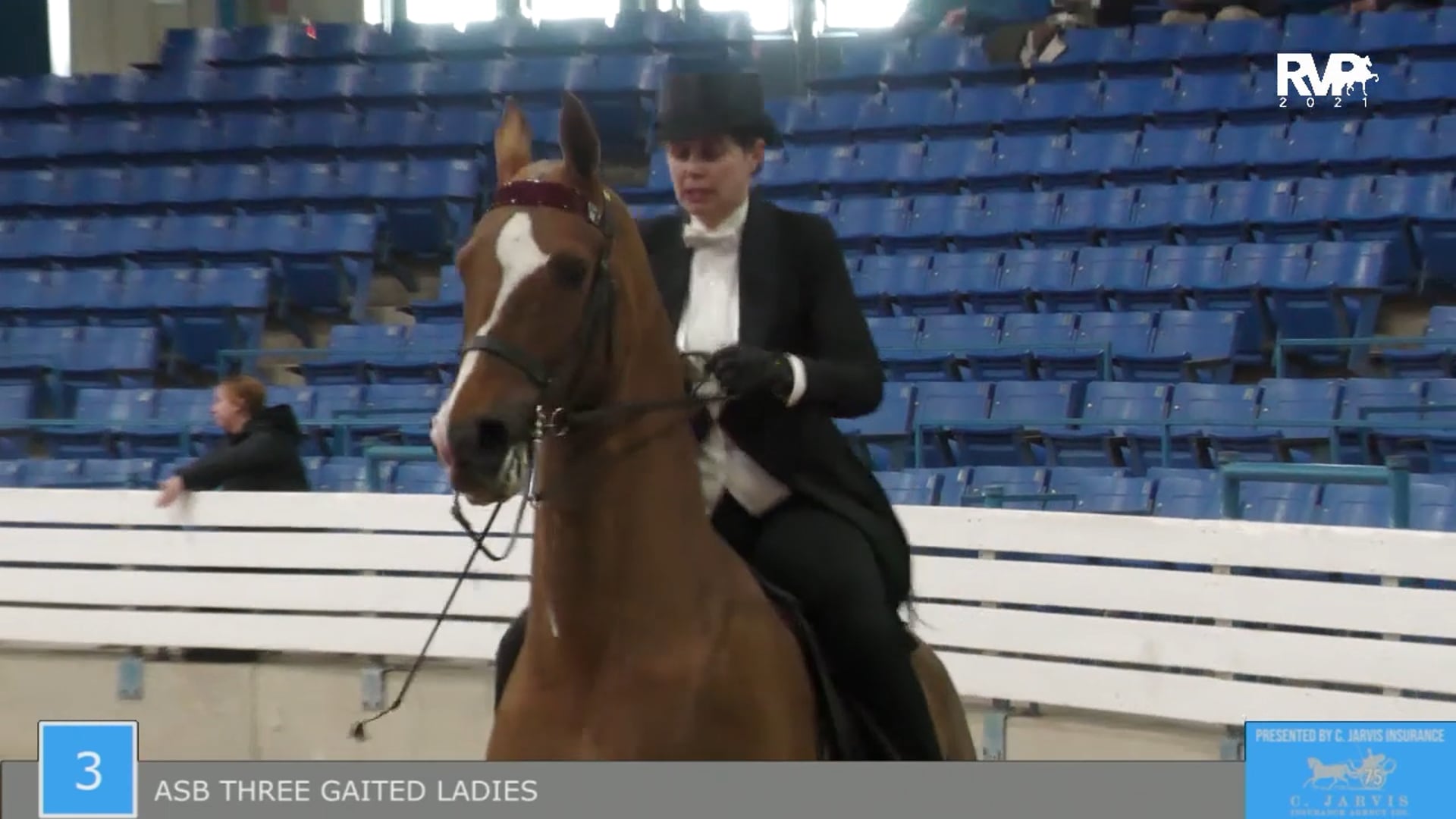 SSSF21 - Class 3 - ASB Three Gaited Ladies