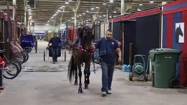 MGN16 - Dragonsmeade Indochine - Cham...