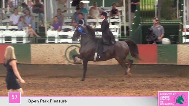 LJL17 - Class 57 - Undulata's Spiderman