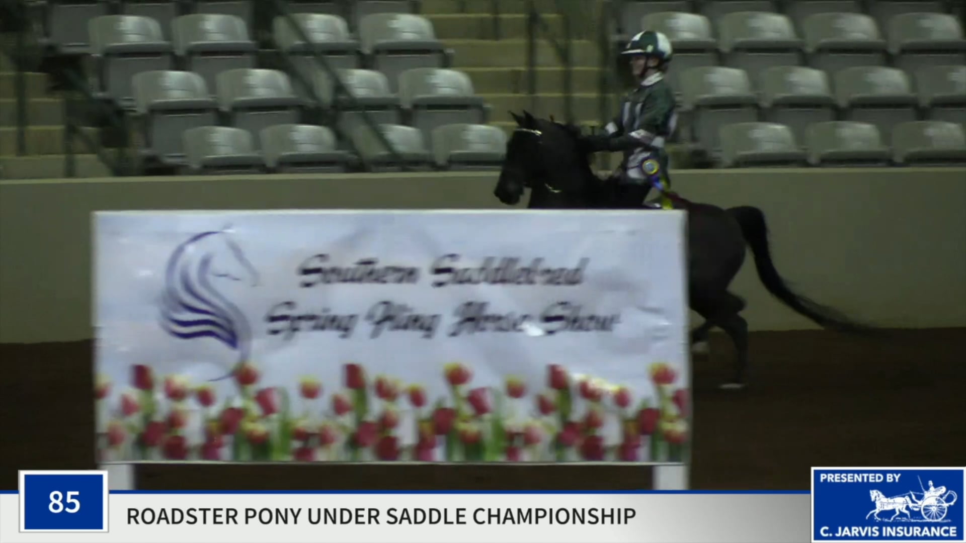 SSSF19 - Class 85 - Heaven Knows Championship