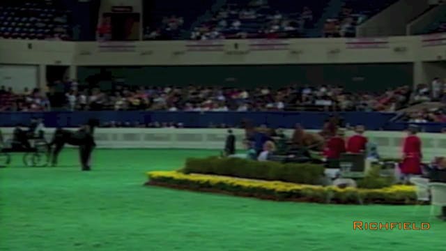2001 WCHS - Class 9 - Kentucky County...