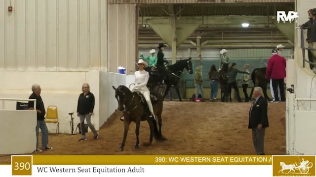 MGN23 - Class 390 - WC Western Seat E...