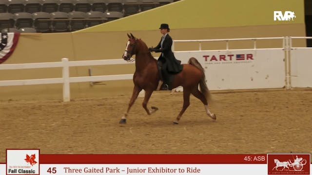 KFC24 - Class 45 - Three Gaited Park ...