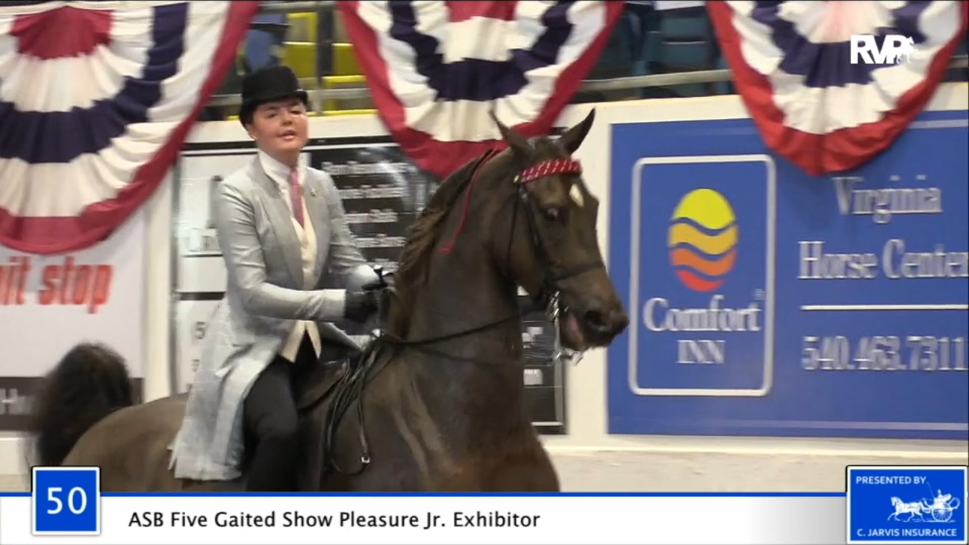 2020 BB - Class 50 ASB Five Gaited Show Pleasure
Junior Exhibitor 