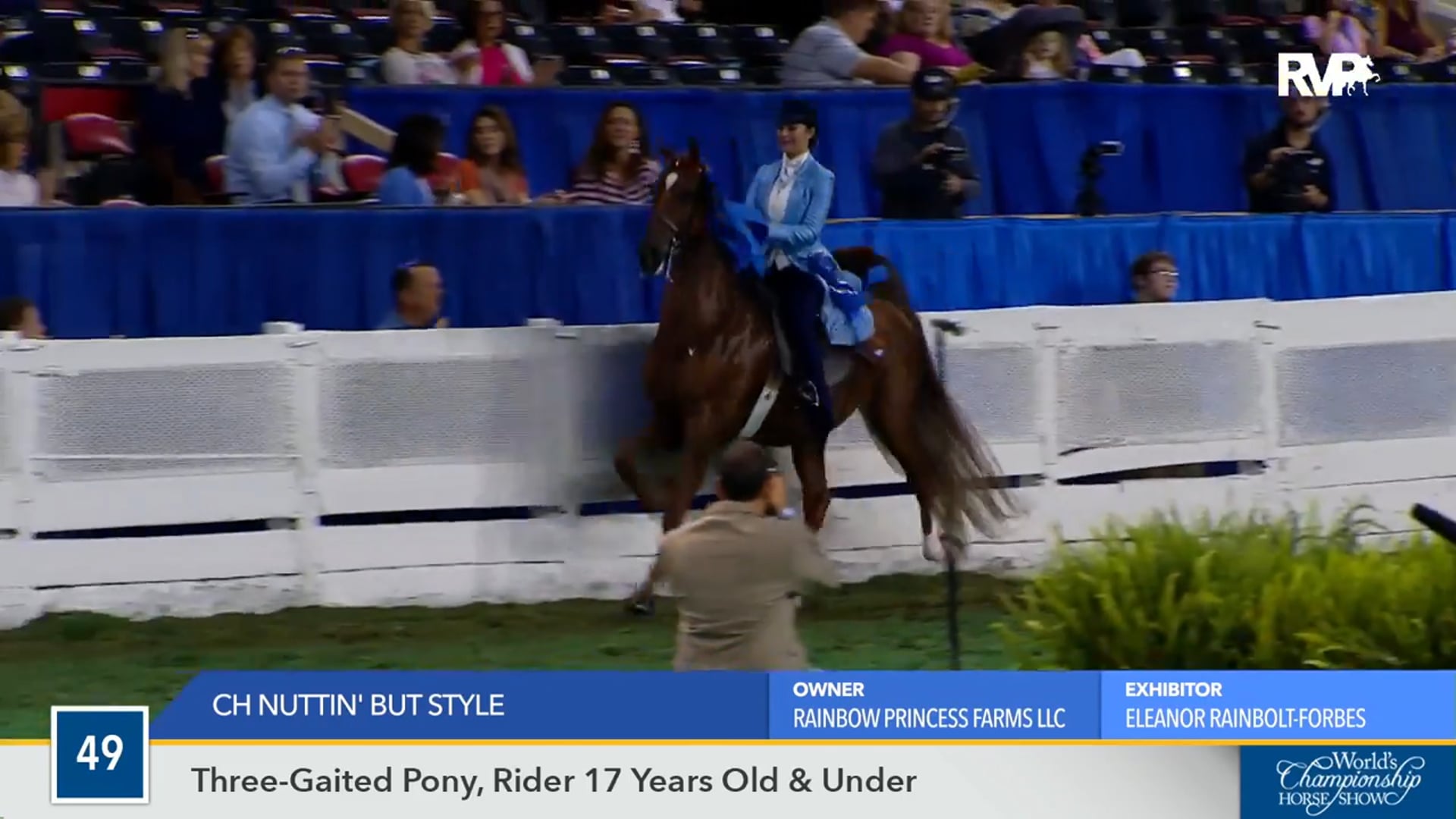 WCHS16 - CH Nuttin' But Style 