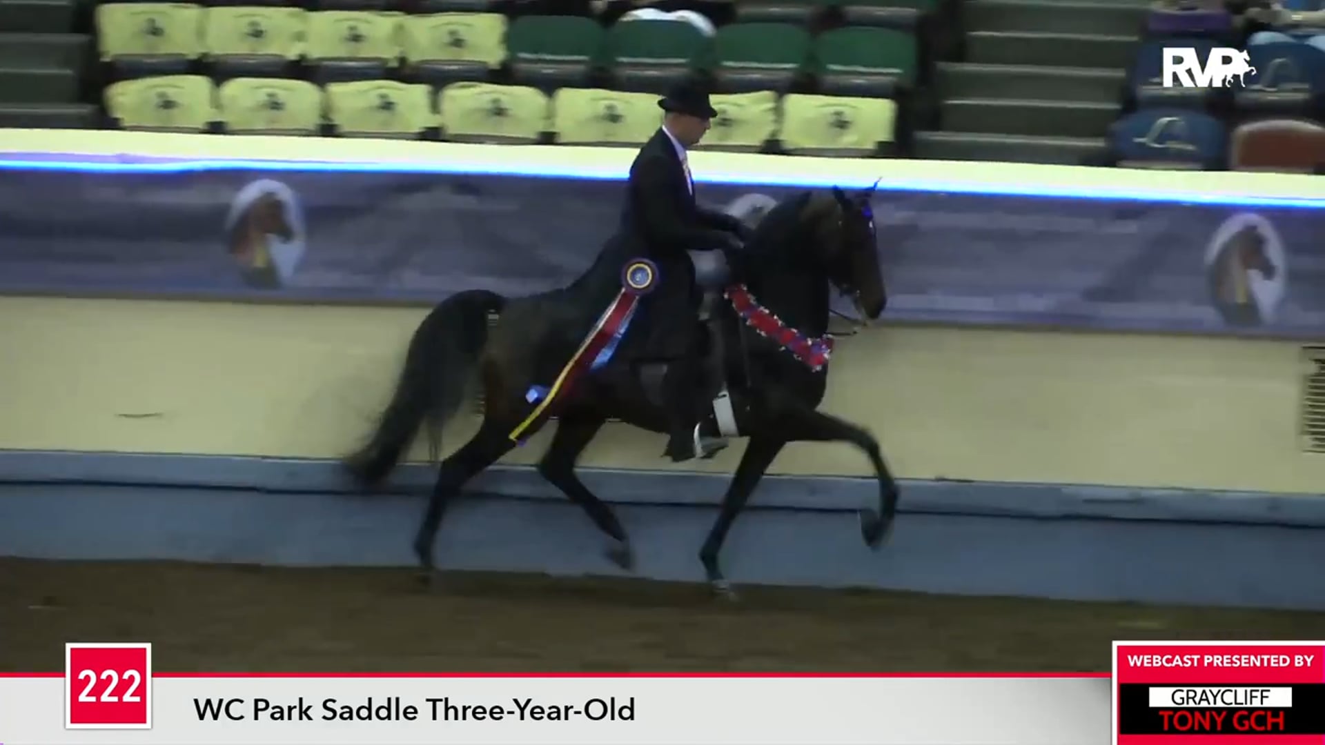 MGN17 - Class 222 - Queen's Yankee Spirit and David Rand, up