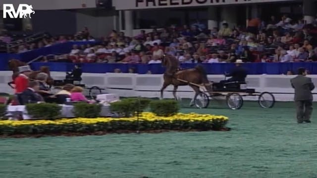 2004 World's Championship Horse Show ...