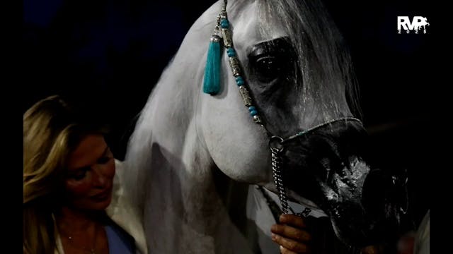 2025 Arabian Nationals - Tuesday Morn...