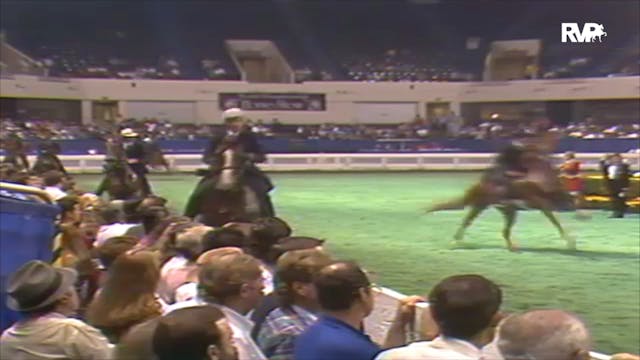 1992 WCHS Class 122 Five Gaited Geldings