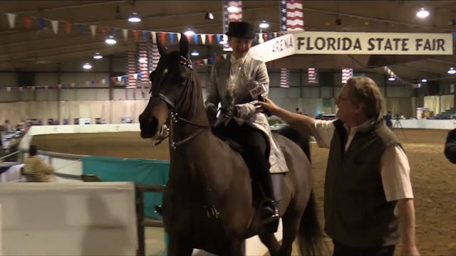 GASP17 - Dragonsmeade Well Played - S...