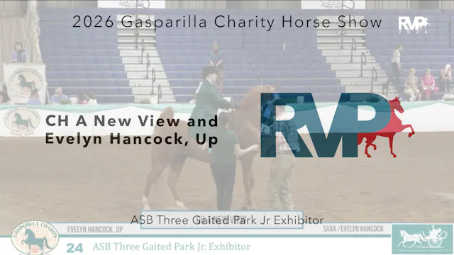 GC26 - Class 24 - CH A new View and E...