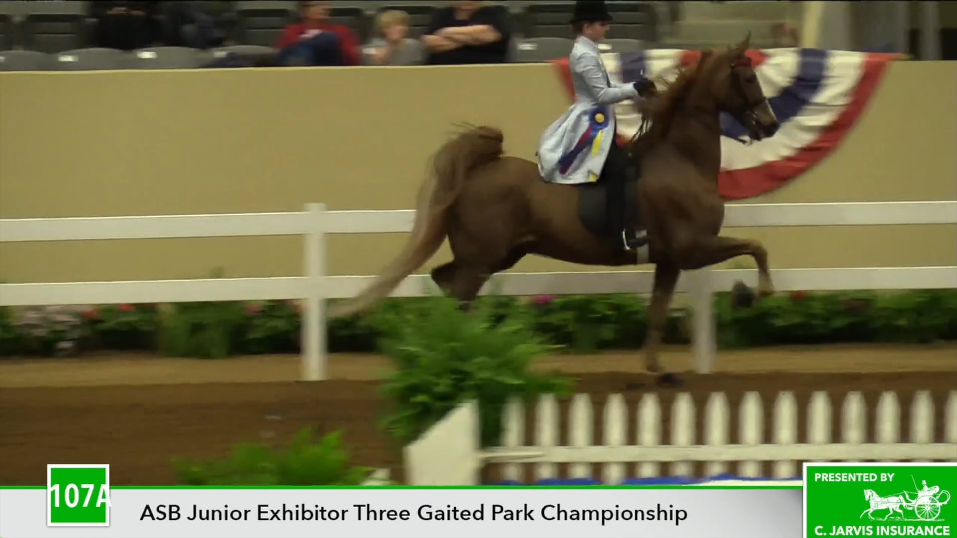 KYSP18 Class 107A Fort Chiswell's Prince Charming Championship