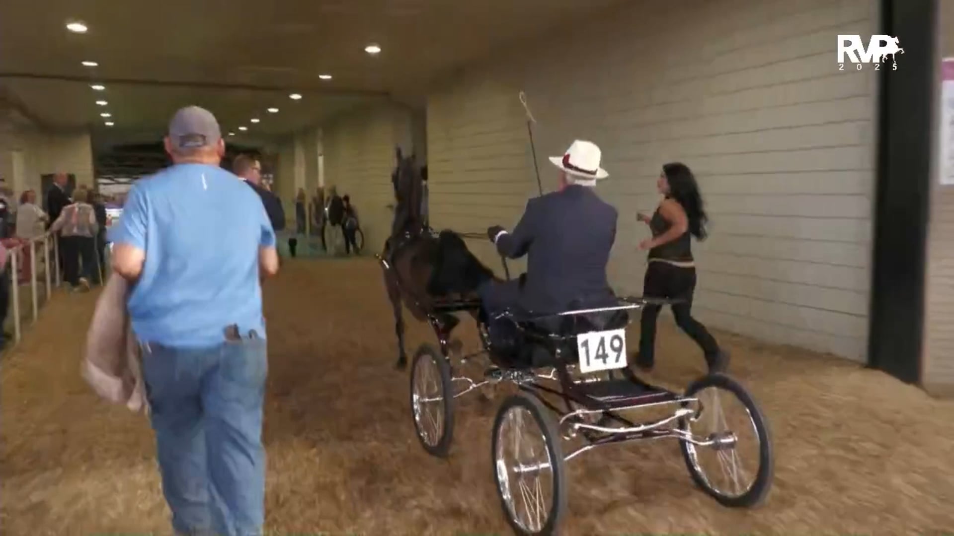 WCHS25 - Class 35 - Amateur Gentlemen's Hackney Pony