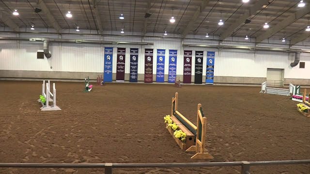 MGN16 - Sport Horse 1 - Tuesday After...