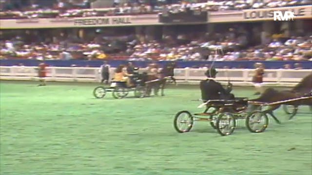 1992 WCHS Class 118 Harness Pony Stal...
