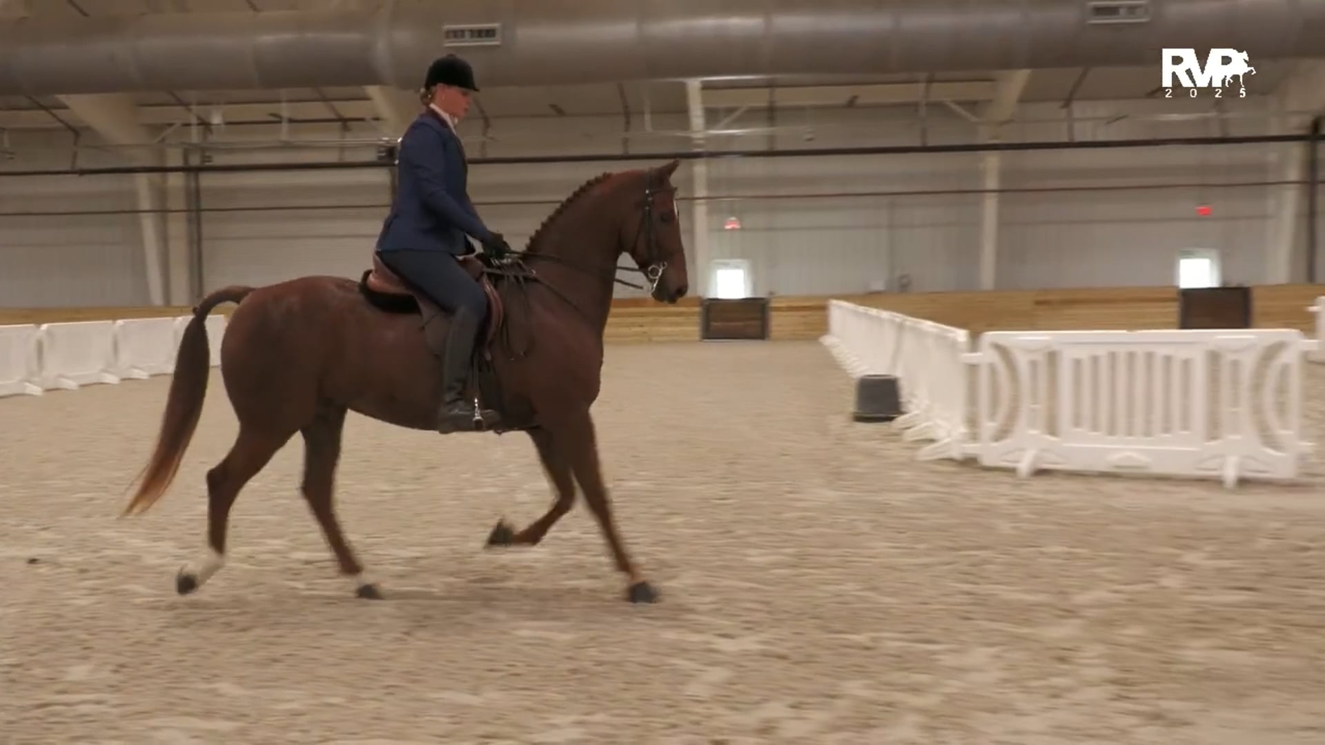 CC25 - Class 20 - Morgan Hunter Pleasure Novice Rider