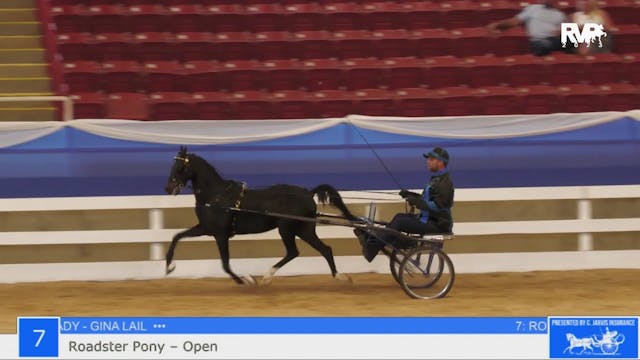 ASF23 - Class 7 -  Roadster Pony Open