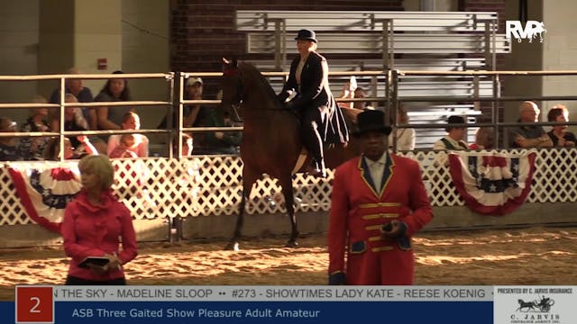 AAC22 - Class 2 -  ASB Three Gaited S...