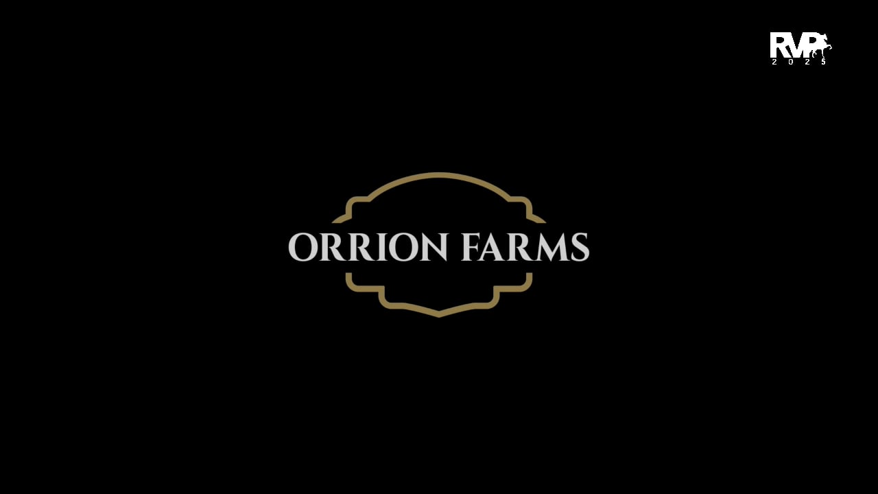 2025 Arabian Nationals - Saturday Morning - Pavilion