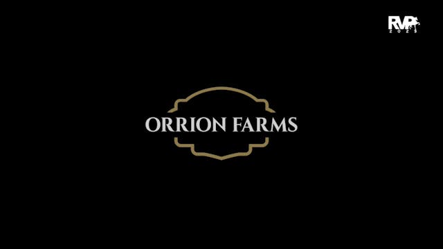 2025 Arabian Nationals - Saturday Mor...