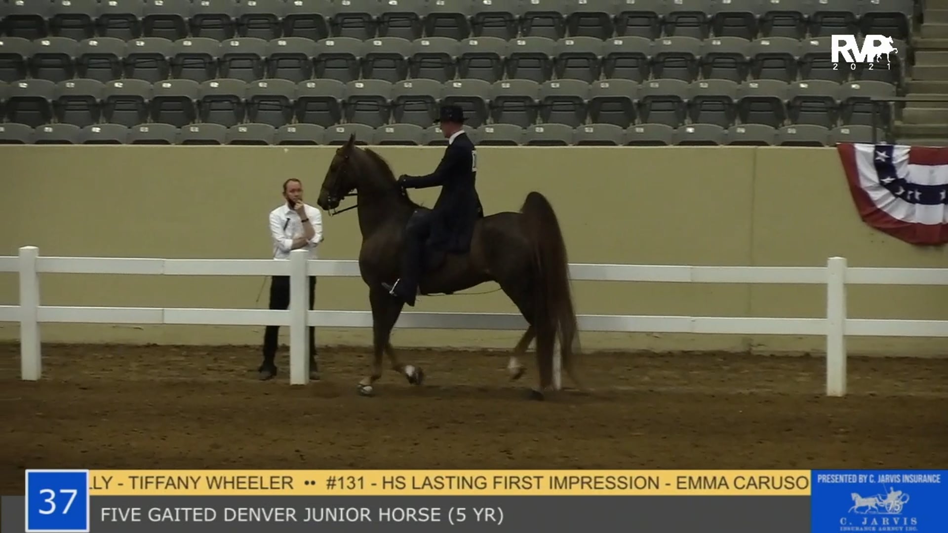 KYSP21 - Class 37 - Five Gaited Denver Junior Horse 5 Year