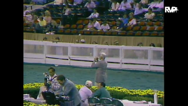 1988 WCHS Class 16 Three Gaited Junio...