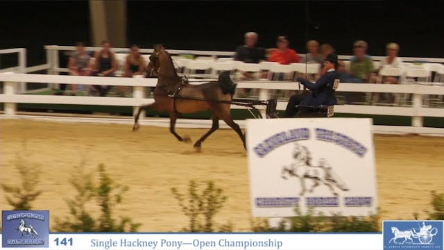 CTSC24 - Class 141 -  Hackney Pony Op...