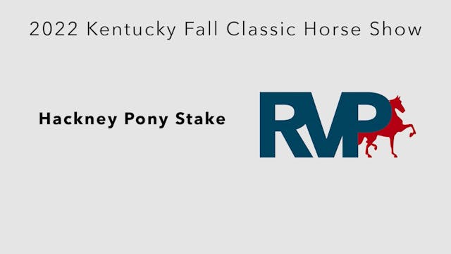 KYFC22 - Class 94 - Hackney Pony Stake