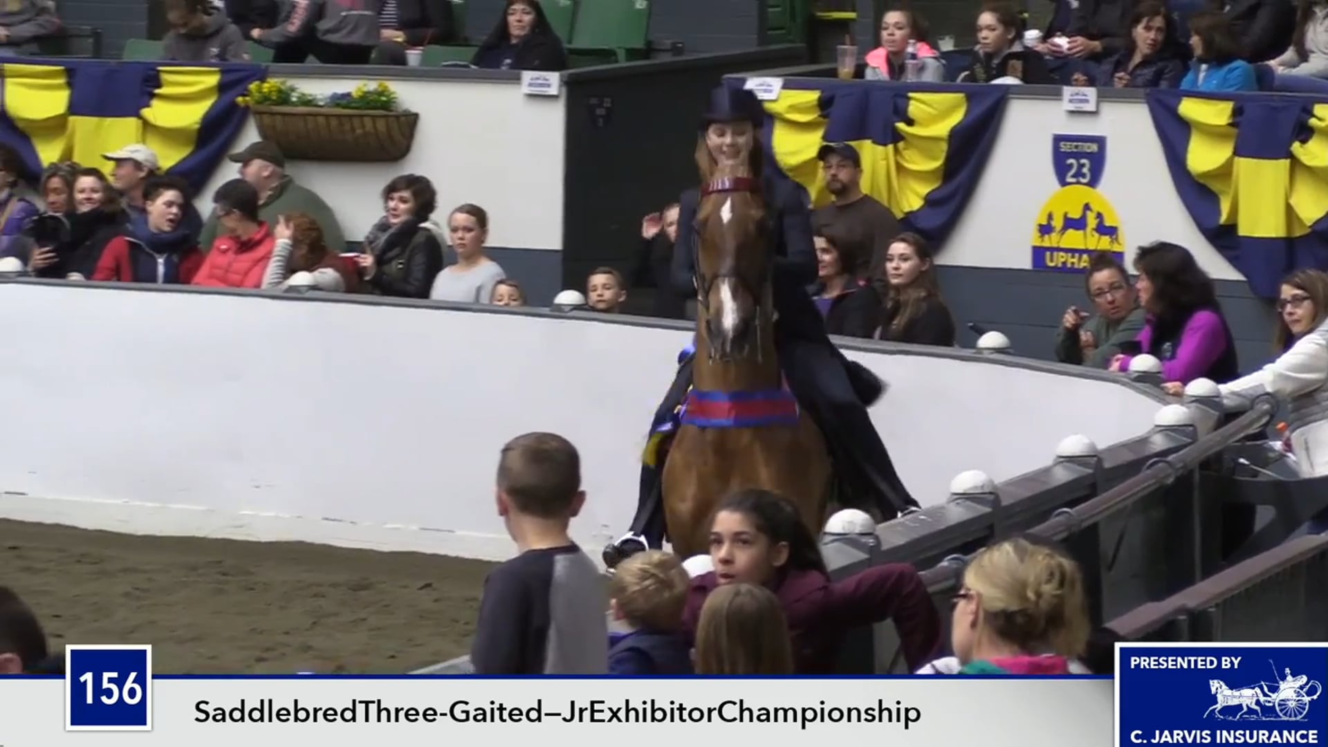 UPHACh14 17 - Tia Margarita - Championship