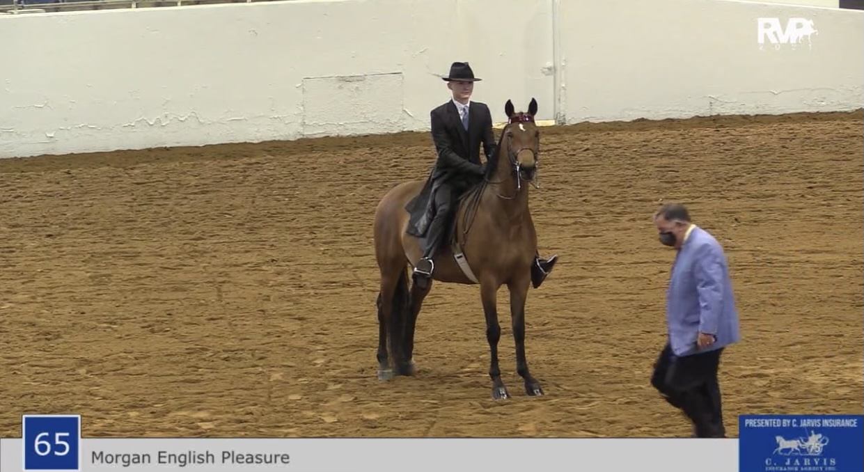 BB21 - Class 65 - Morgan English Pleasure