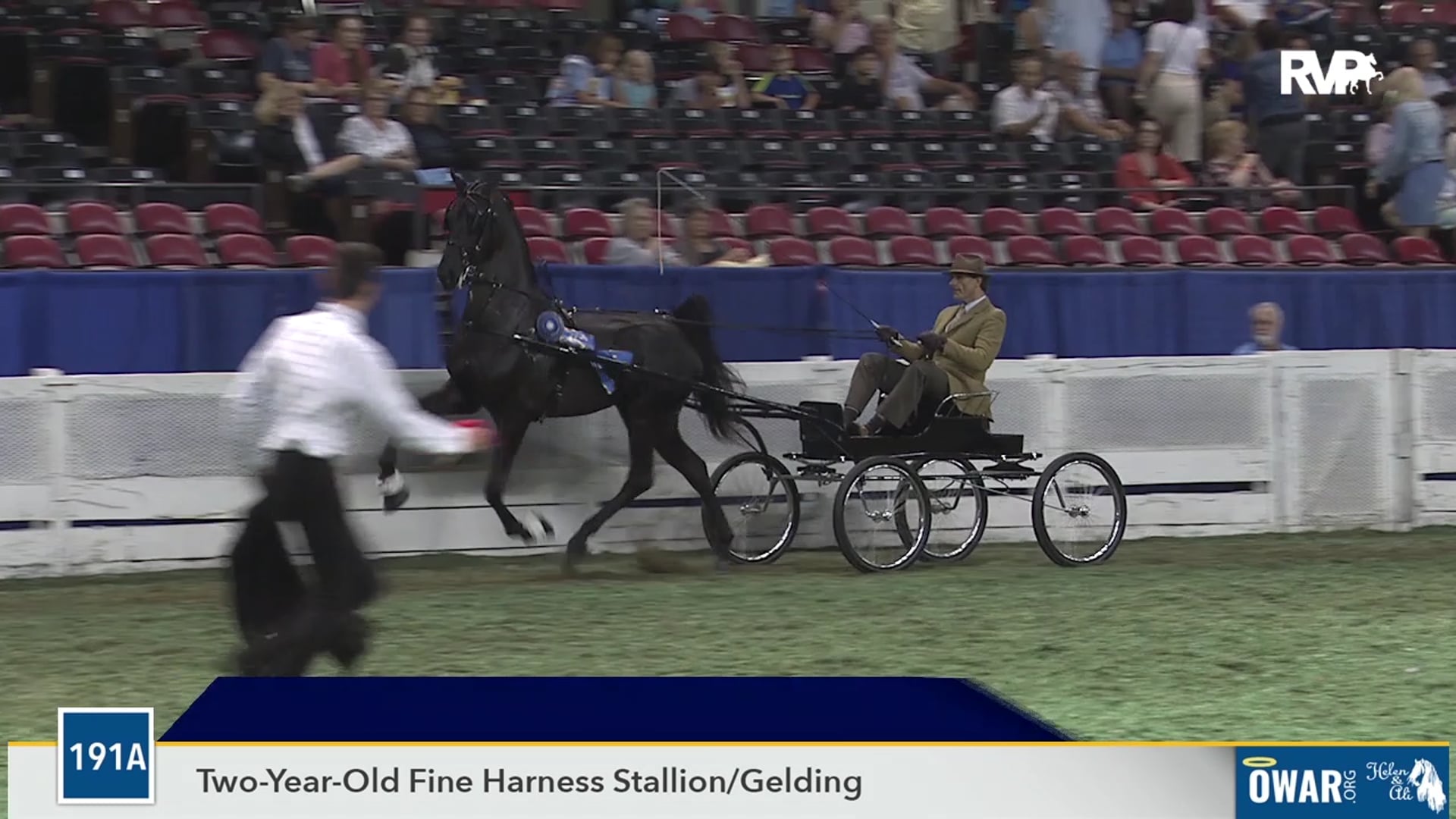 WCHS19 - Class 191A - Arrowhead's Sealed With A Kiss