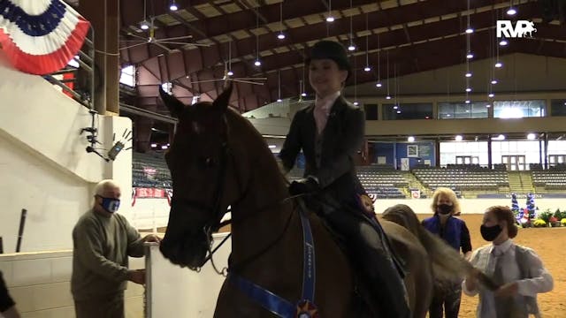 ASHAV 2020 - Class 79 ASB WalkTrot P...