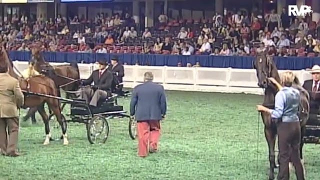 2010 World's Championship Horse Show ...