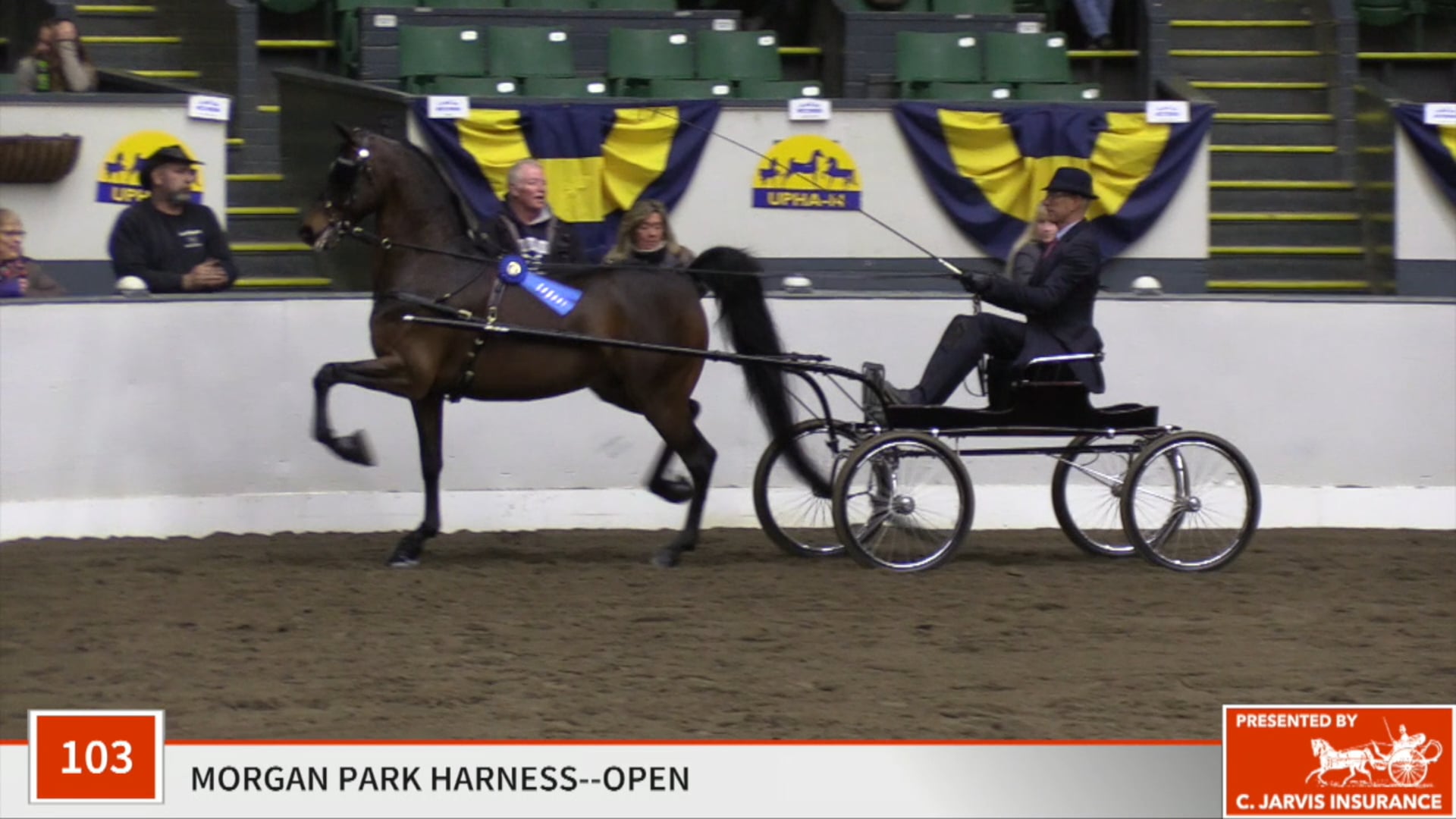 UPHA14-19 - Class 103 - Queen's Jim Dandy