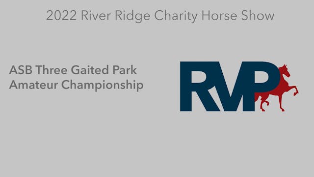 RR22 - Class 133 -  ASB Three Gaited ...