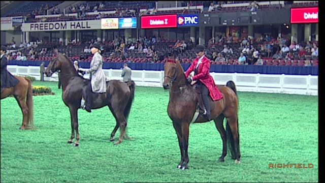 2010 WCHS - Class 15 - Three Gaited S...
