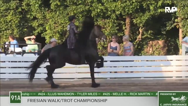 2016 RC - Class 91a Friesian Walk:Tro...