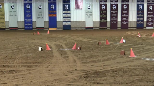 2017 MGN - Sport Horse 1 - Thursday E...