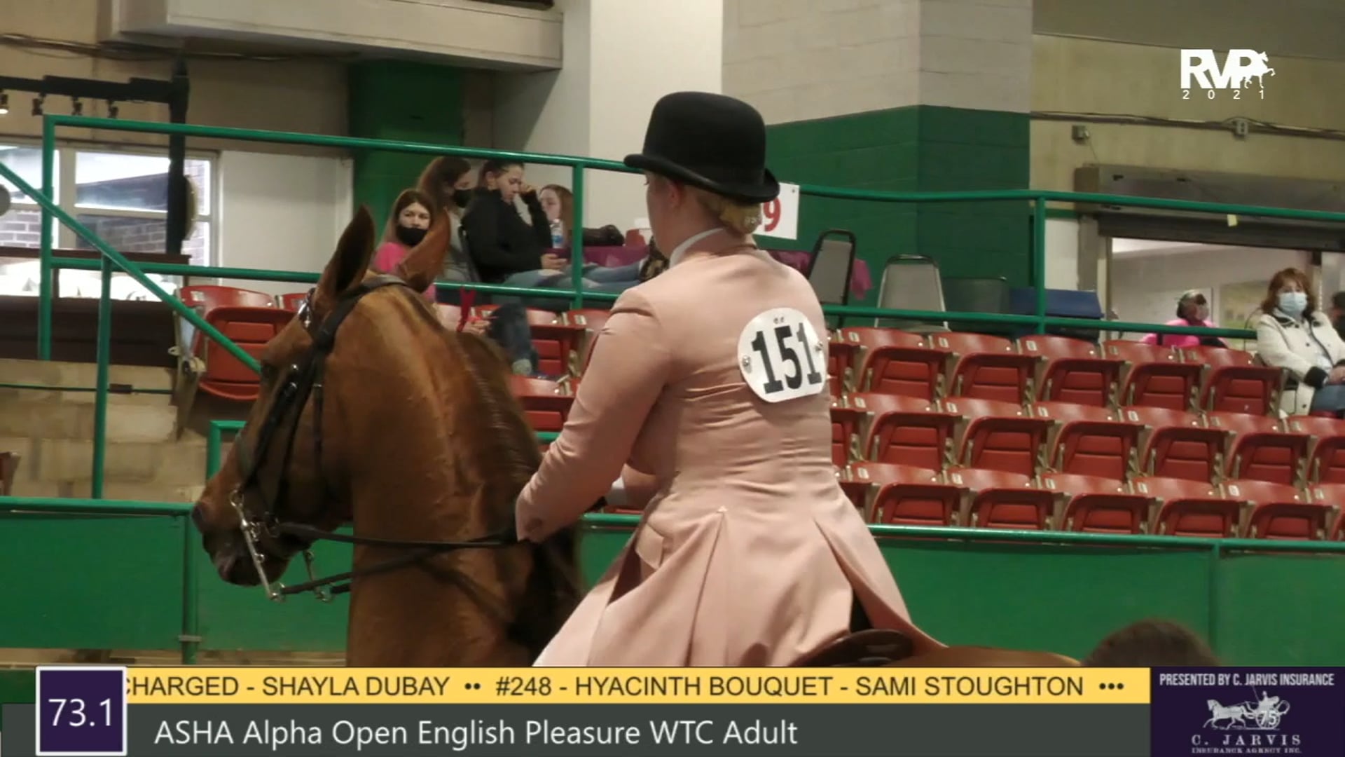 RSP21 - Class 73.1 - ASHA Alpha Open English 
Pleasure WTC Adult