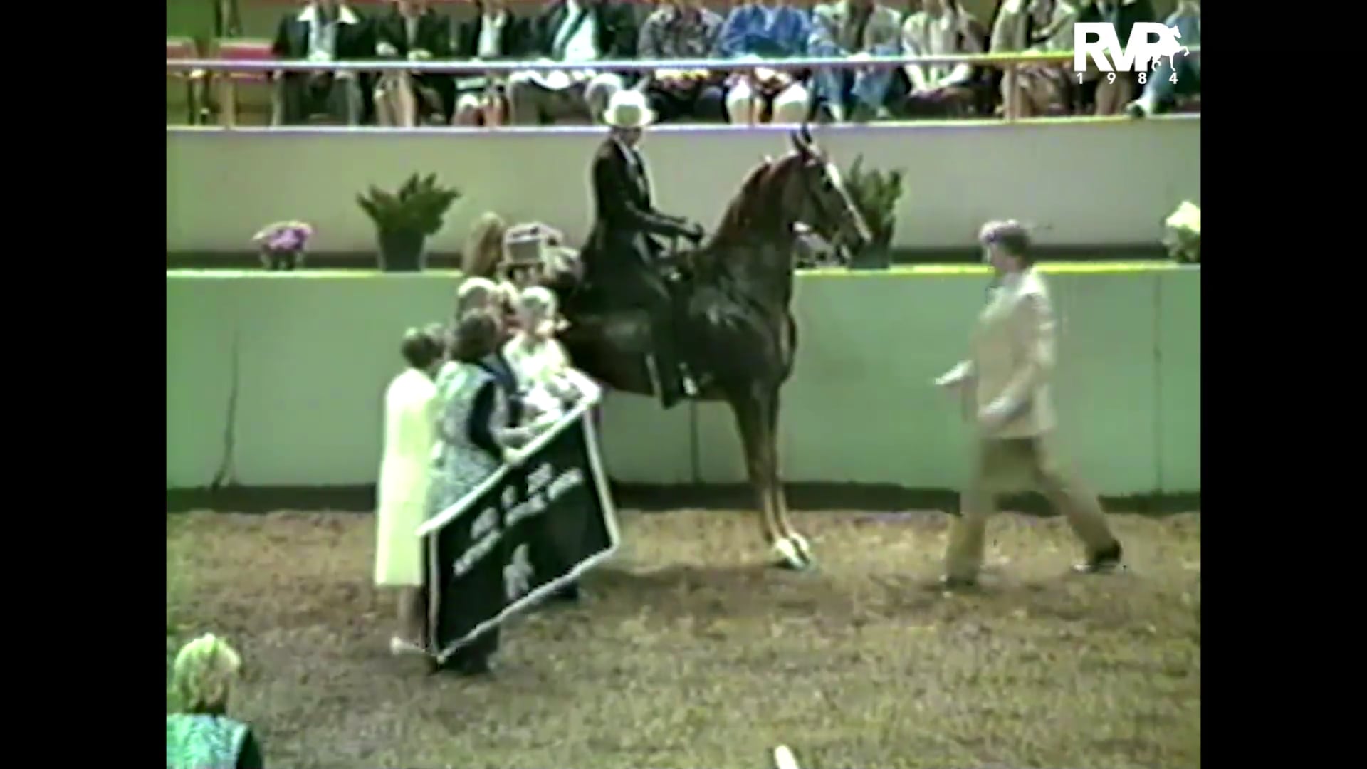 1984 Phoeniz Aid to Zoo - 5G AMA Champ - NY, NY and Michele Macfarlane, up