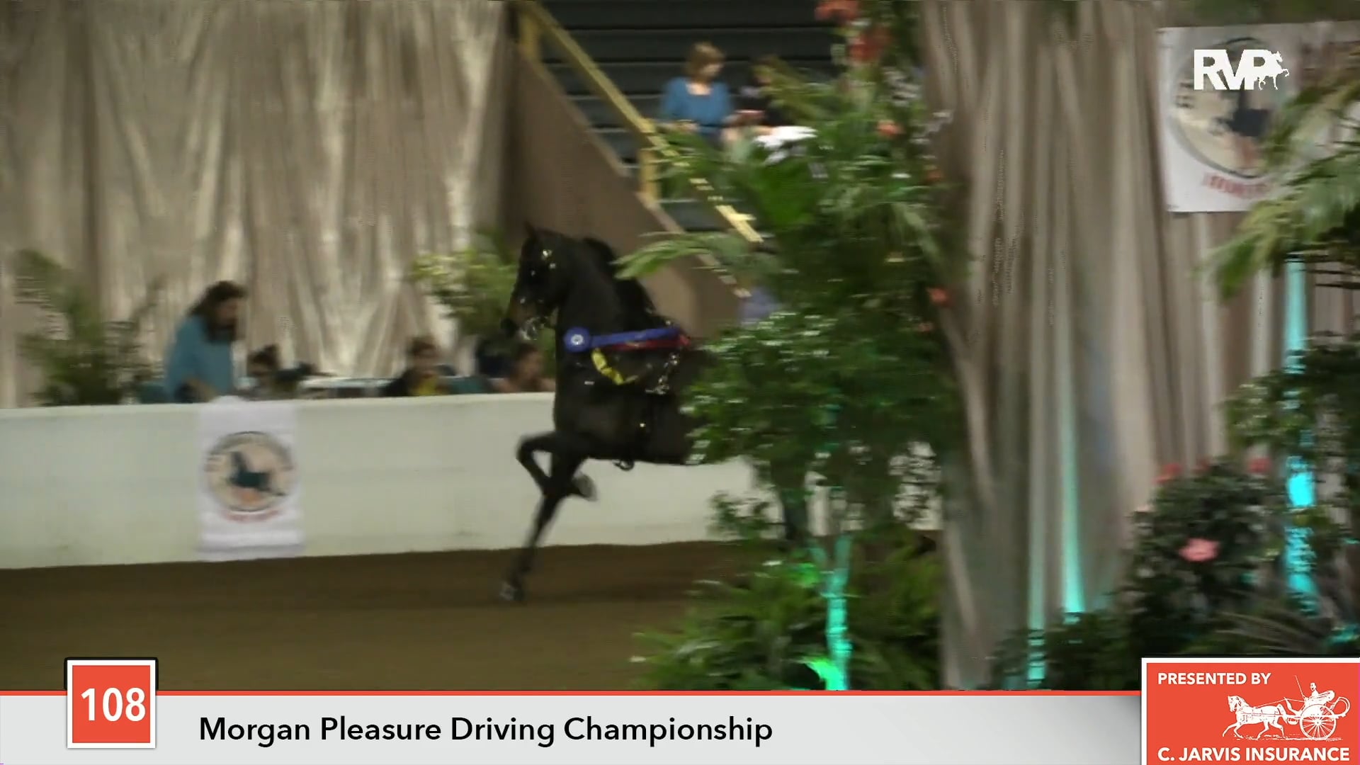 GASP18 - Class 108 - Dragonsmeade Vendome