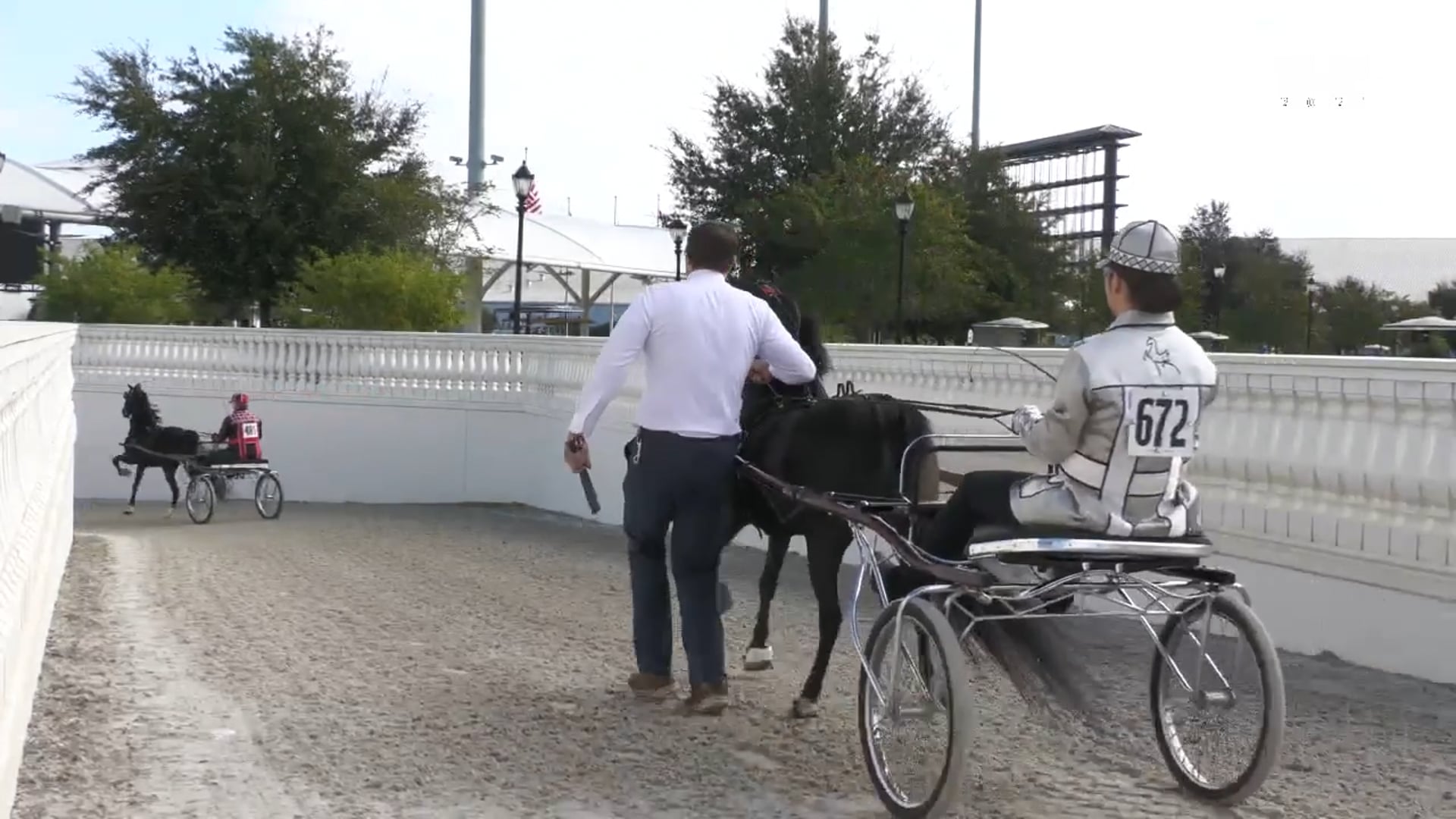 OI25 - Class 66 - Roadster Pony Limit