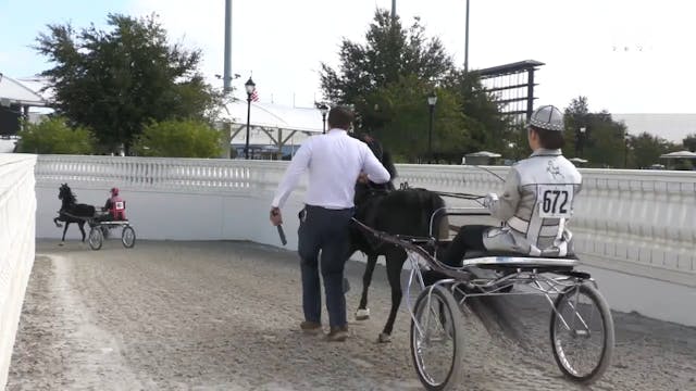 OI25 - Class 66 - Roadster Pony Limit