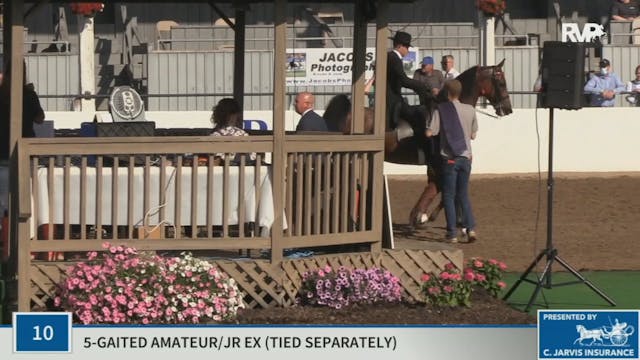 KYSP20 - Class 10 Five Gaited Amateur...