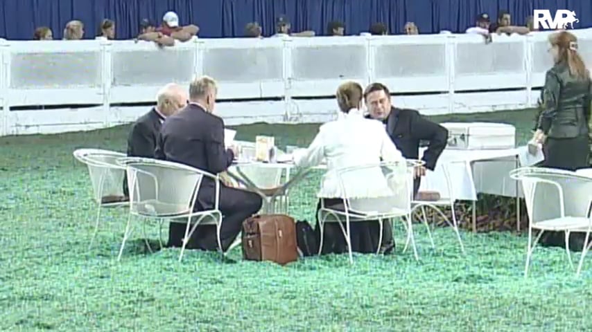 2010 World's Championship Horse Show Class 108 Amateur Ladies Hackney Pony